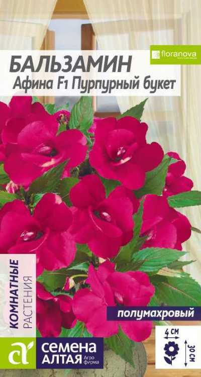 картинка Бальзамин Афина Пурпурный букет (цветной пакет) 5шт; Семена Алтая от магазина Флоранж
