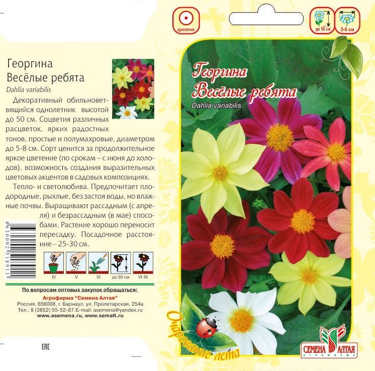 Георгина Веселые Ребята (цветной пакет) 0,2г; Семена Алтая