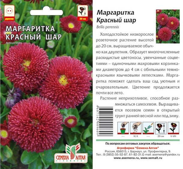 Маргаритка Красный Шар (цветной пакет) 0,05г; Семена Алтая