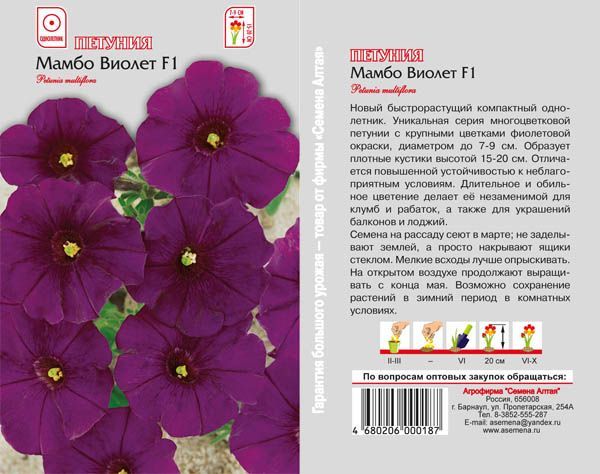 Петуния Мамбо Виолет (цветной пакет) 10шт; Семена Алтая