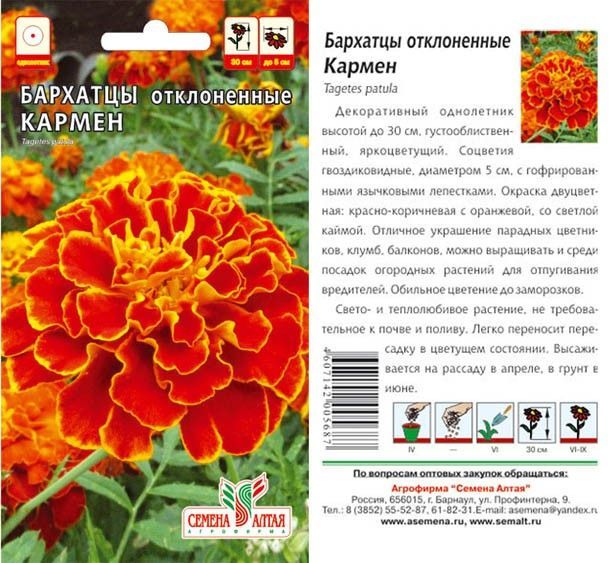 картинка Бархатцы Кармен (цветной пакет) 0,3г; Семена Алтая от магазина Флоранж