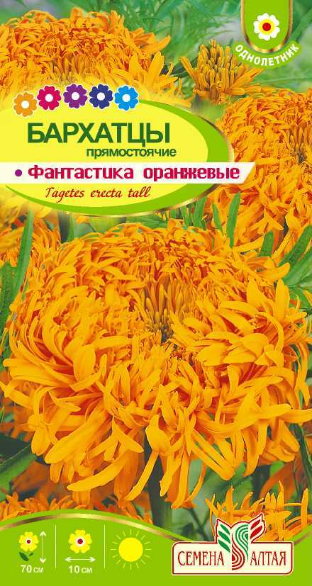 Бархатцы Фантастика Оранжевые (цветной пакет) 0,2г.; Семена Алтая