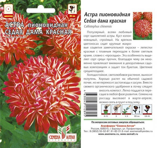 картинка Астра Седая Дама Красная (цветной пакет) 0,2г; Семена Алтая от магазина Флоранж