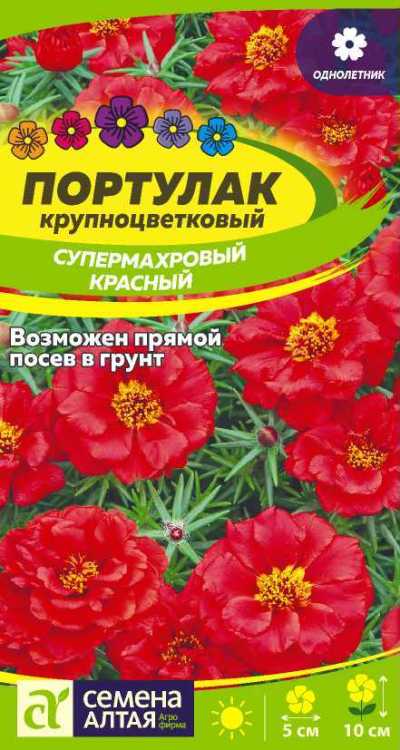 картинка Портулак Супермахровый красный (цветной пакет) 0,1г; Семена Алтая от магазина Флоранж