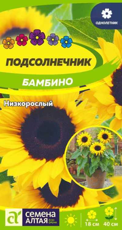 картинка Подсолнечник Бамбино низкорослый (белый пакет) 0,5г; Семена Алтая от магазина Флоранж