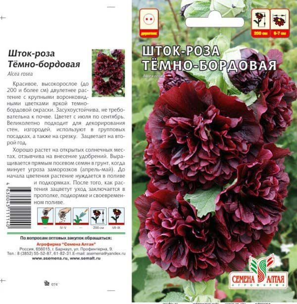 Шток-роза Темно-бордовая (цветной пакет) 0,1г; Семена Алтая